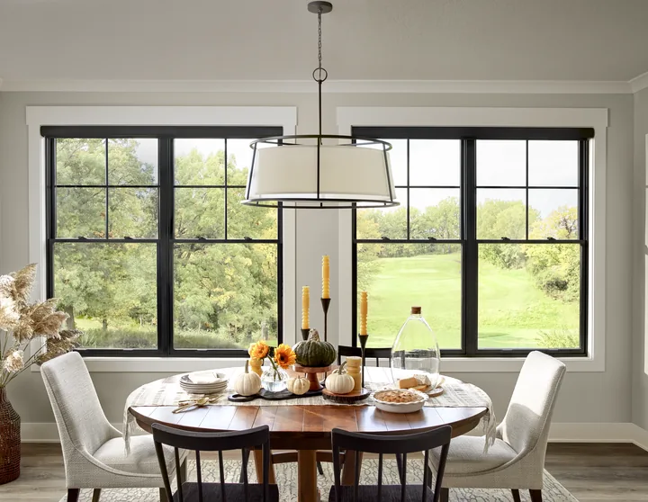 Dark-framed replacement windows across a Georgetown, Texas dining room with a green view